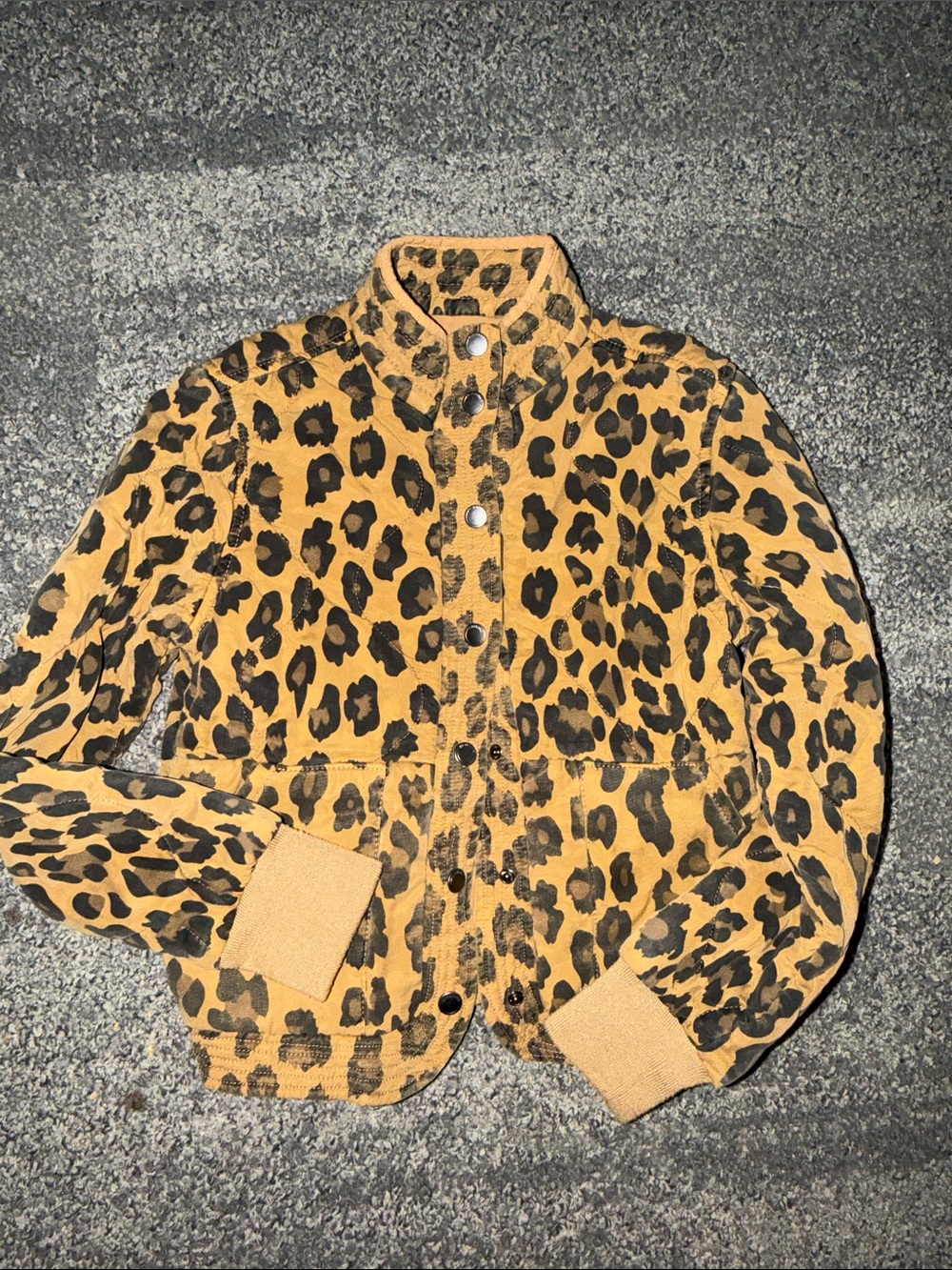Blank NYC Kids Leopard Print Jacket in Mustard and Black